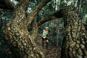 BIB: 
                            <button type="button" onclick="openModal(25392896)" class="btn btn-primary btn-sm float-right btn-popup" data-toggle="modal" data-target=".modal-high-quality">
                        <i class="fas fa-shopping-cart"></i> Add to Cart
                    </button>
                                            <button type="button" onclick="isThisMe(25392896, true)" class="btn btn-success btn-sm float-right btn-popup btn-isme hidden" data-toggle="tooltip" data-placement="bottom" title="นี่คือรูปของคุณใช่ไหม คลิกที่นี่เพื่อเอาเข้าอัลบั้ม">
                        <i class="fas fa-plus"></i> Add to album
                    </button>
                    <button type="button" onclick="isThisMe(25392896, false)" class="btn btn-warning btn-sm float-right btn-popup btn-isnotme hidden">
                        <i class="fas fa-ban"></i> Remove from album
                    </button>